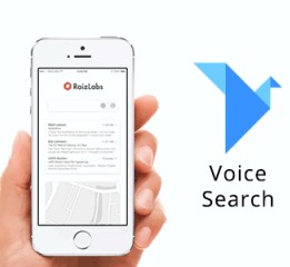 Origami Freebie - Voice Search