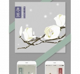 節(jié)氣與花兒-app引導頁插圖