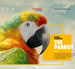 《The Parrot》手绘
