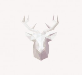 WILD ANIMAL - VISUAL ILLUSTRATION