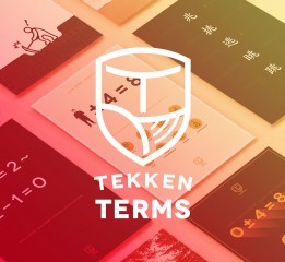 TEKKEN TERMS