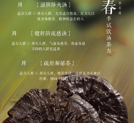 Product leaflets design 中藥單頁設(shè)計