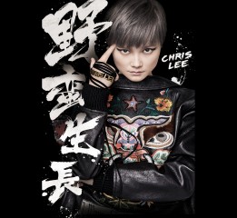李宇春2016野蛮生长演唱会主视觉海报平面设计以及其他部分数字单曲封面和宣传物料