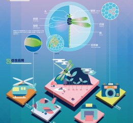 畢業設計-【昆蟲帶我飛】-信息可視化