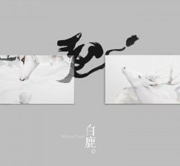 [White Deer白鹿]