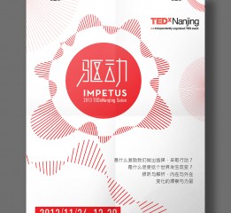 TEDxNanjing 2013