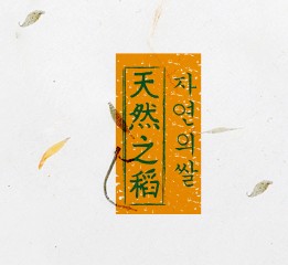 大米包裝及插畫(huà)