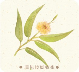 蜂蜜包裝設(shè)計(jì)