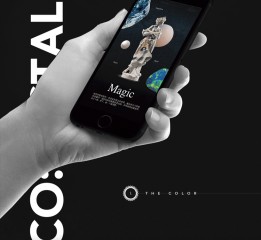 CO：RYSTAL APP 期刊