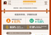 2013手游市场分析报告信息图