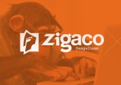 Zigaco新公司介绍