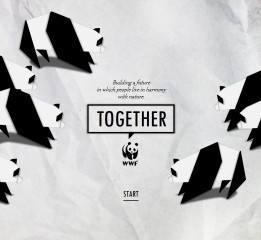 水易作·免费篇(9)——熊猫折纸风WWF海报 @汤是一门PPT