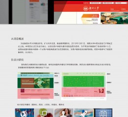 2010-湖南大学门户网站改版设计