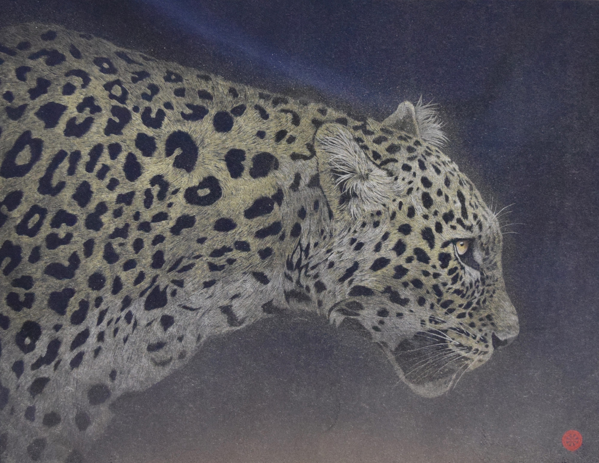 ¹µèͷӥ,ϻ¡(takashi kanazawa)