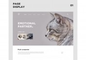 猫咪宠物-网站设计