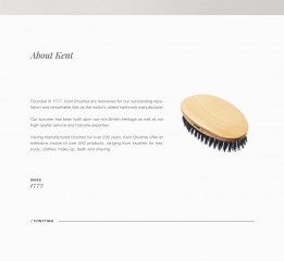 KENT Offical website  redesign（附字体）