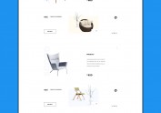 WEB CONCEPTUAL DESIGN
