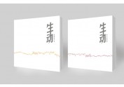 《生动》书籍再设计