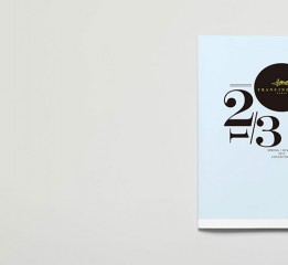 《欧迪雅》皮包-形象画册-2020