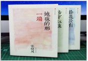 《张晓风经典作品系列》爱情三部曲