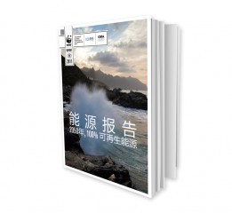 2020WWF世界自然基金會(huì)能源報(bào)告設(shè)計(jì)